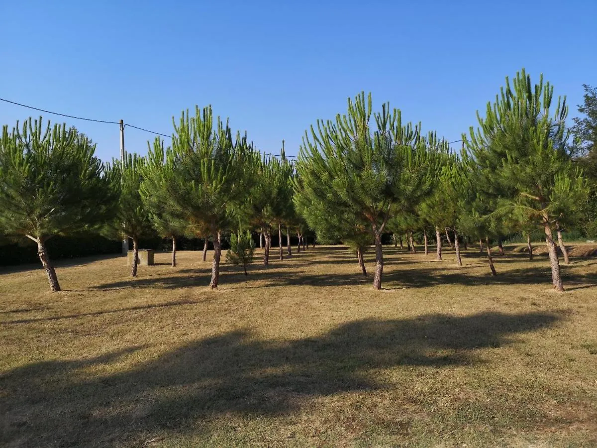 Holiday home Lloguer30 La Rajoleria Para Desconectar Llagostera
