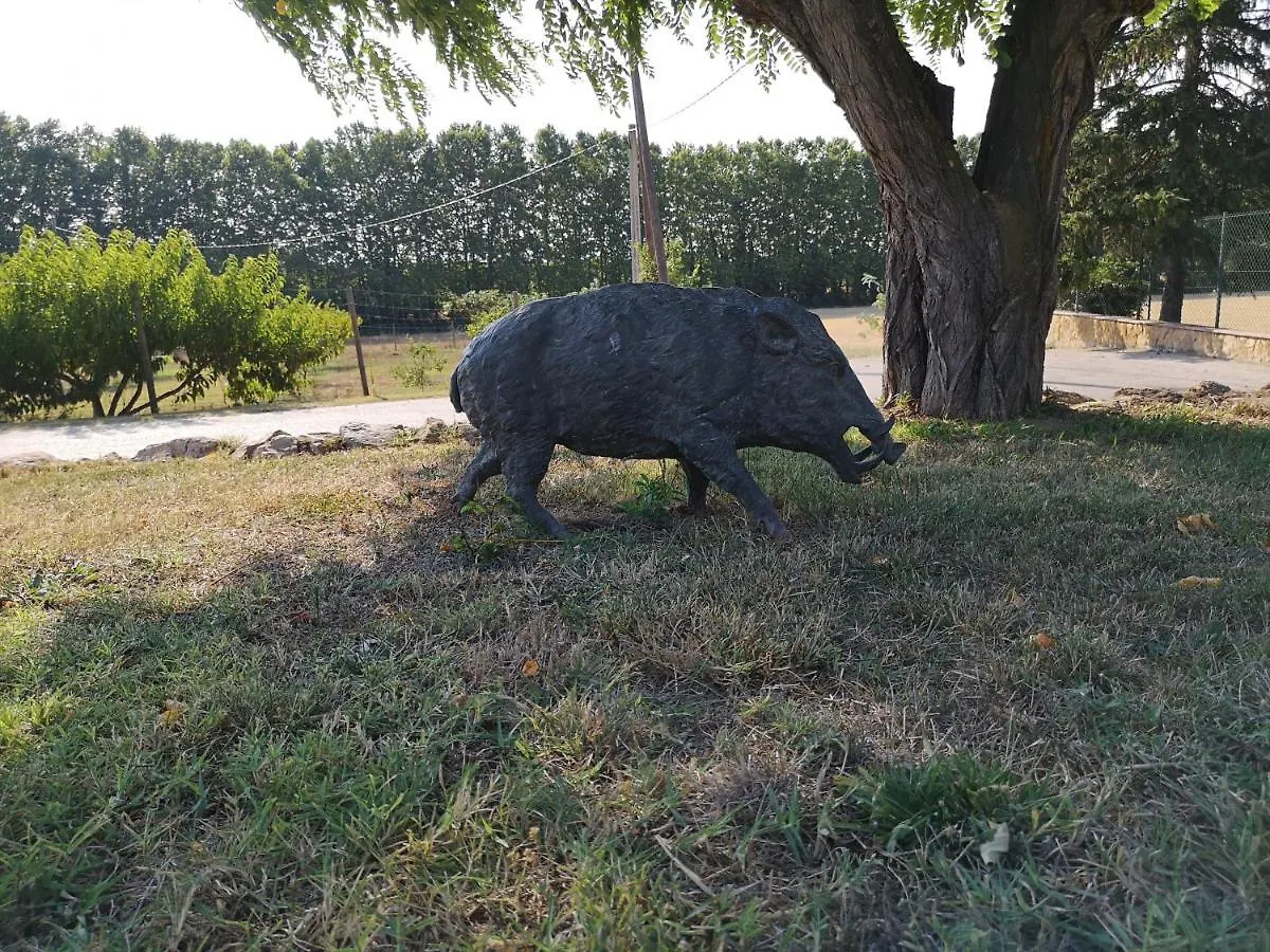 Lloguer30 La Rajoleria Para Desconectar Llagostera Holiday home